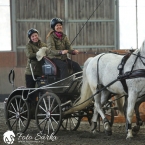 Hradištko 2019 - spřežení