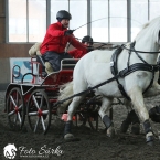 Hradištko 2019 - spřežení