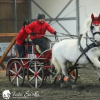 Hradištko 2019 - spřežení