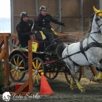 Hradištko 2019 - spřežení