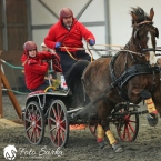 Hradištko 2019 - spřežení