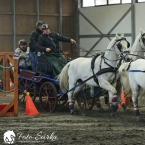 Hradištko 2019 - spřežení