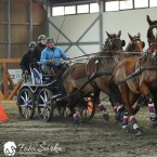 Hradištko 2019 - spřežení