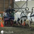 Hradištko 2019 - spřežení