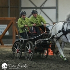 Hradištko 2019 - spřežení