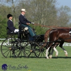 Kladruby 2019 - čtvrtek + pátek - drezury