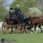 Kladruby 2019 - čtvrtek + pátek - drezury