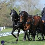 Kladruby 2019 - čtvrtek + pátek - drezury