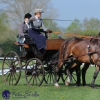 Kladruby 2019 - čtvrtek + pátek - drezury