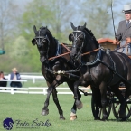 Kladruby 2019 - čtvrtek + pátek - drezury