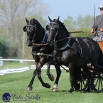 Kladruby 2019 - čtvrtek + pátek - drezury