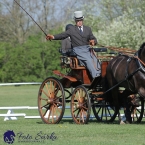 Kladruby 2019 - čtvrtek + pátek - drezury