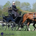 Kladruby 2019 - čtvrtek + pátek - drezury