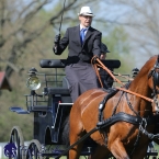 Kladruby 2019 - čtvrtek + pátek - drezury