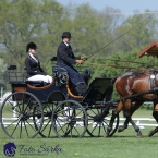 Kladruby 2019 - čtvrtek + pátek - drezury