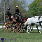 Kladruby 2019 - čtvrtek + pátek - drezury