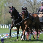 Kladruby 2019 - čtvrtek + pátek - drezury