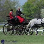 Kladruby 2019 - čtvrtek + pátek - drezury