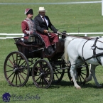 Kladruby 2019 - čtvrtek + pátek - drezury