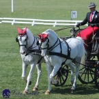 Kladruby 2019 - čtvrtek + pátek - drezury