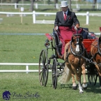 Kladruby 2019 - čtvrtek + pátek - drezury