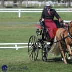 Kladruby 2019 - čtvrtek + pátek - drezury