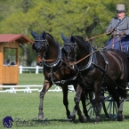 Kladruby 2019 - čtvrtek + pátek - drezury