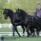 Kladruby 2019 - čtvrtek + pátek - drezury