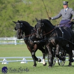 Kladruby 2019 - čtvrtek + pátek - drezury