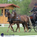 Kladruby 2019 - čtvrtek + pátek - drezury