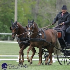 Kladruby 2019 - čtvrtek + pátek - drezury