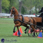 Kladruby 2019 - neděle - finále