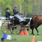 Kladruby 2019 - neděle - finále