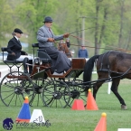 Kladruby 2019 - neděle - finále