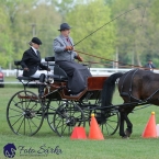 Kladruby 2019 - neděle - finále