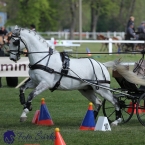 Kladruby 2019 - neděle - finále