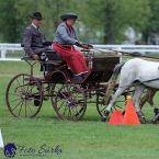 Kladruby 2019 - neděle - finále