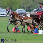 Kladruby 2019 - neděle - finále