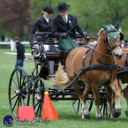 Kladruby 2019 - neděle - finále