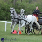 Kladruby 2019 - neděle - finále