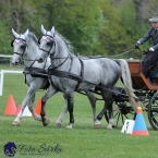 Kladruby 2019 - neděle - finále