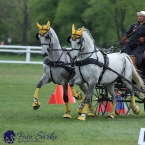 Kladruby 2019 - neděle - finále