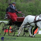 Kladruby 2019 - neděle - finále