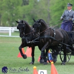 Kladruby 2019 - neděle - finále