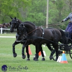 Kladruby 2019 - neděle - finále