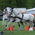 Kladruby 2019 - neděle - finále