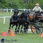 Kladruby 2019 - neděle - finále