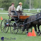 Kladruby 2019 - neděle - finále