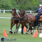 Kladruby 2019 - neděle - finále