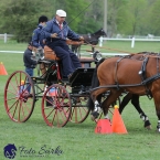 Kladruby 2019 - neděle - finále